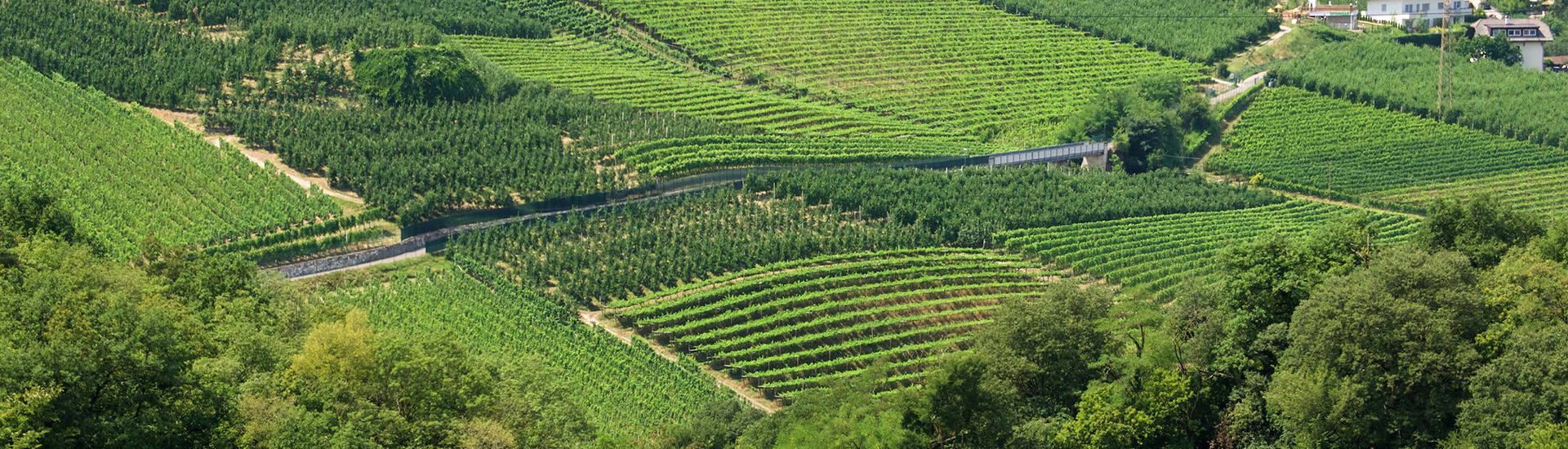 Bolzano_Slider_2
